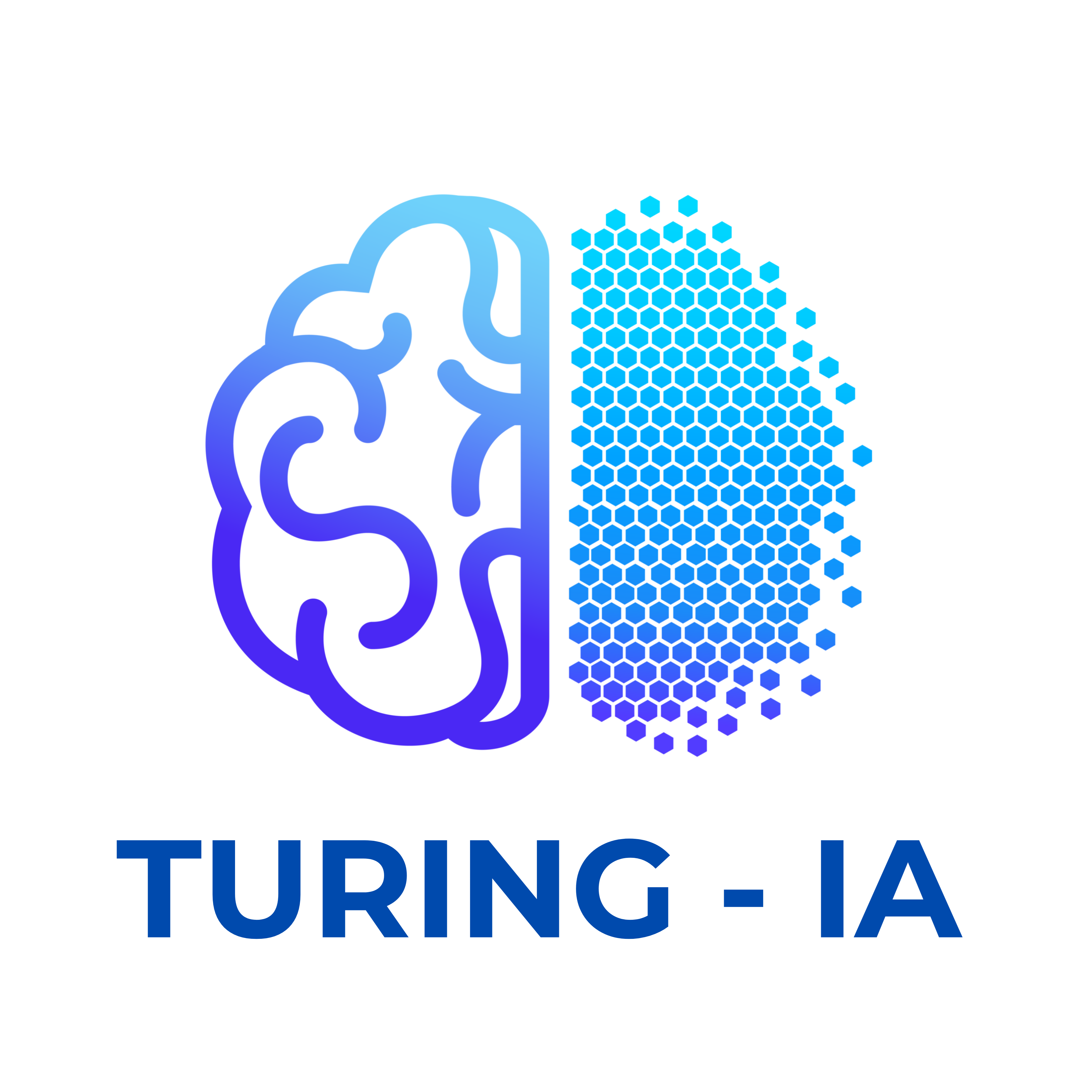 TURING INTELIGENCIA ARTIFICIAL S.A.S
